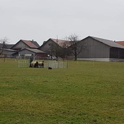 Fb Img 1579686692434