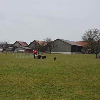 Fb Img 1579686707225
