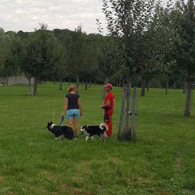 Fb Img 1579689207679
