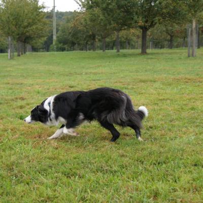 Dsc06405 Kopie