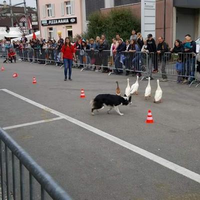 Fb Img 1579689527307